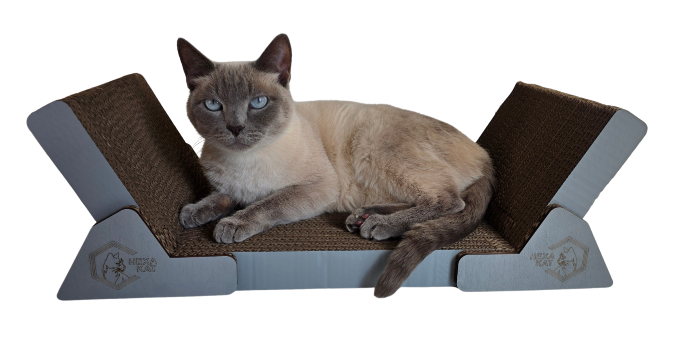 Eine graue Katze liegt entspannt auf einem modernen, Katzenbett / Kratzbrett